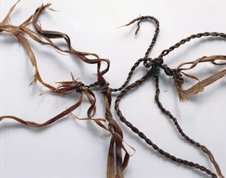 Net sandsynligvis brugt til at fange fugle, fundet sammen med Oetzi Iceman (græs)